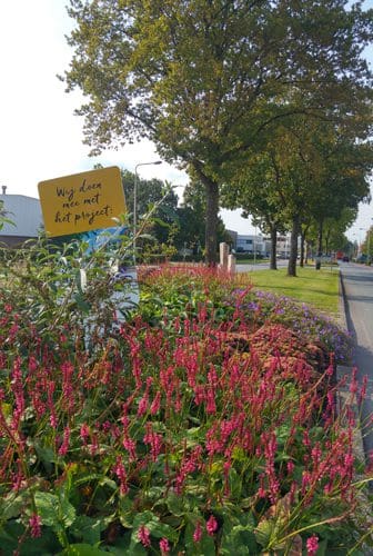 BIZ Grote Polder in bloei Bloeiend biodivers bedrijventerrein Grote Polder Zoeterwoude