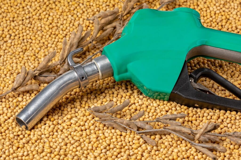 Biodiesel