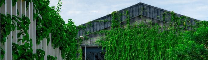 Groene gevel met roosters voor klimplanten - Wegwijzer lokale biodiversiteit - Stimular